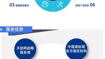 企业信息查询服务详解 以滨城易站通和互搜信息科技为例